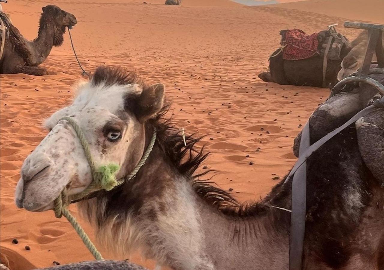 Amazing Luxury Camp Hotell Merzouga Eksteriør bilde